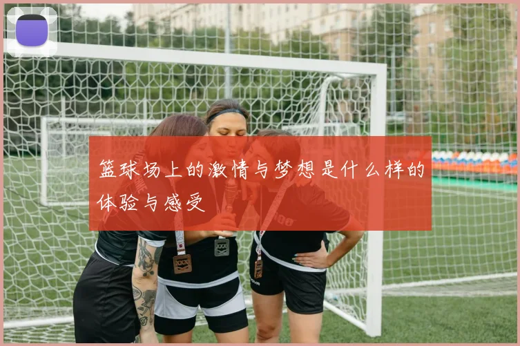 篮球场上的激情与梦想是什么样的体验与感受