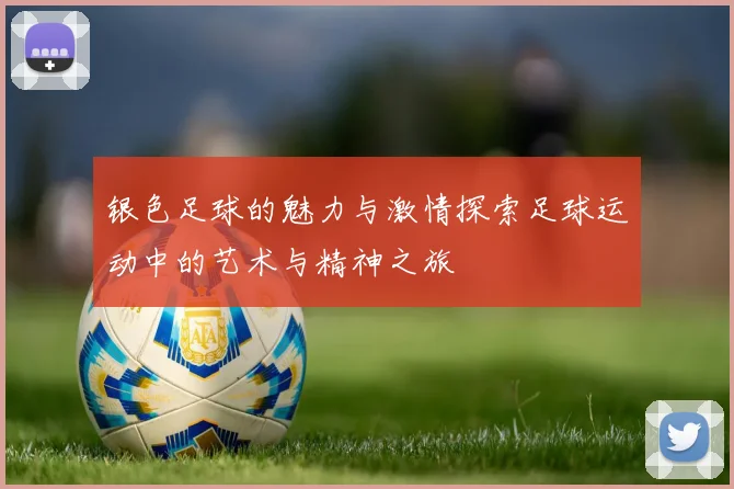 银色足球的魅力与激情探索足球运动中的艺术与精神之旅