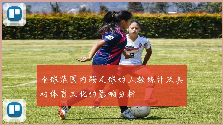 全球范围内踢足球的人数统计及其对体育文化的影响分析